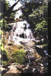 vattenfall2003-02_400x600_small.jpg (4308 bytes)